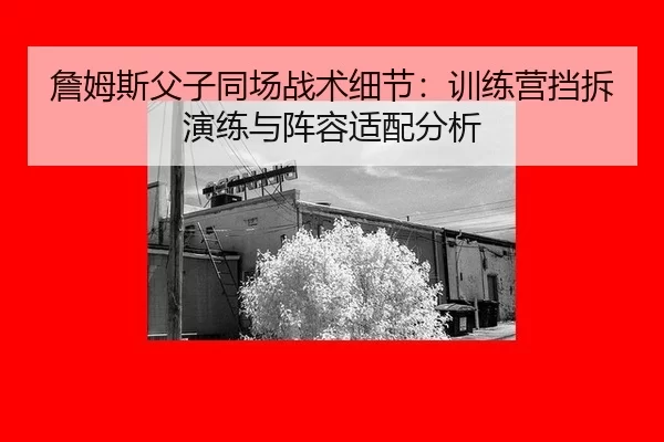 zhan-mu-si-fu-zi-tong-chang-zhan-shu-xi-jie-xun-lian-ying-dang-chai-yan-lian-yu-zhen-rong-shi-pei-fen-xi-3-205.jpg